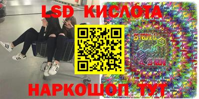 крисы Тулун