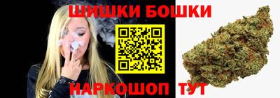 крисы Тулун