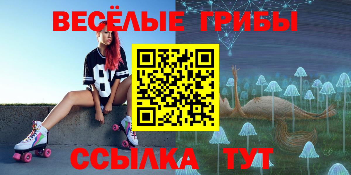 Галлюциногенные грибы Psilocybe  хочу наркоту  Галлюциногенные грибы MAGIC MUSHROOMS  Нурлат  Вход с VPN 